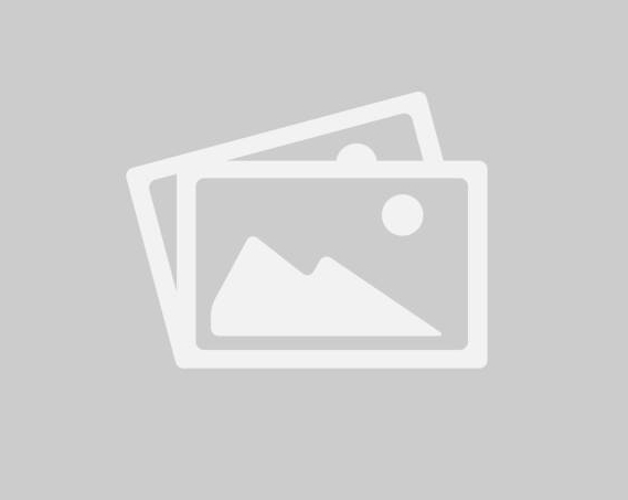 B64Tool — Multi-Format Encoding and Decoding | 999 Projects